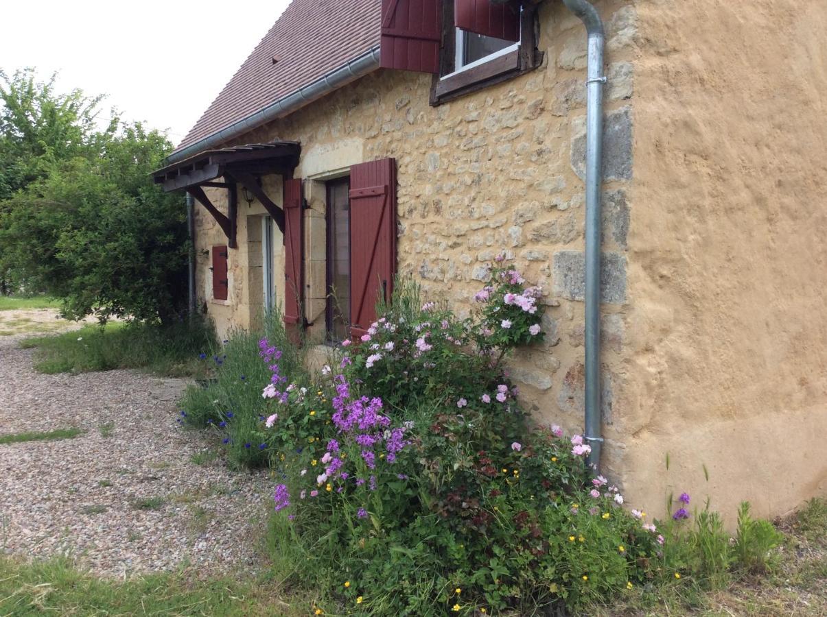 מלון Saint-Pierre-les-Etieux Le Moulin De Gateau מראה חיצוני תמונה
